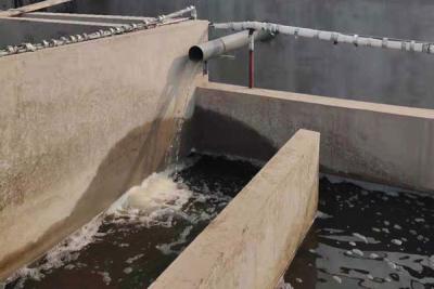 屠宰廢水處理工程實例（山東煙臺）