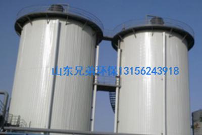 IC厭氧反應(yīng)器